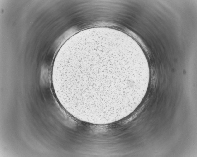 X0000085830810200704091656