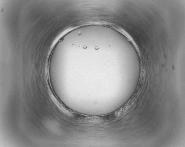 X0000085830811200704091656