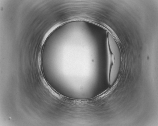 X0000085830812200704091656