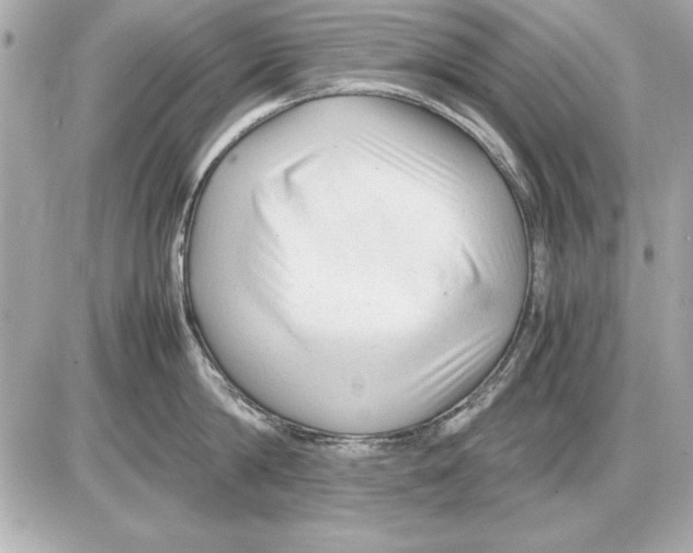 X0000085830814200704091656