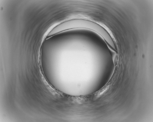 X0000085830815200704091656