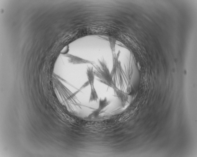 X0000085830817200704091655