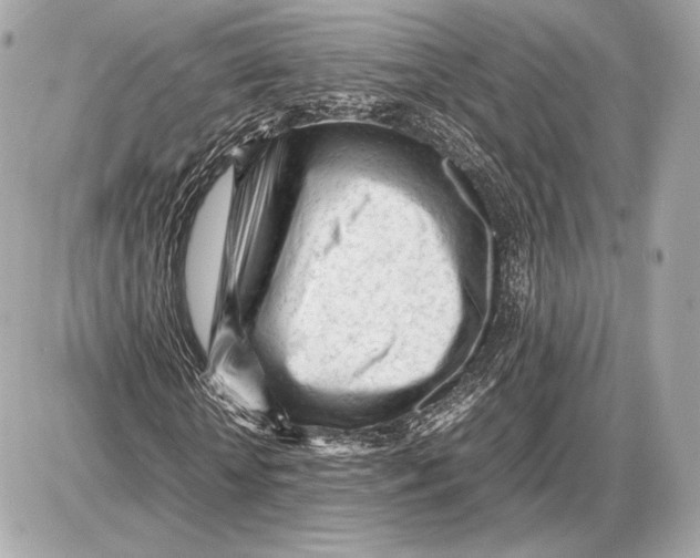 X0000085830818200704091655