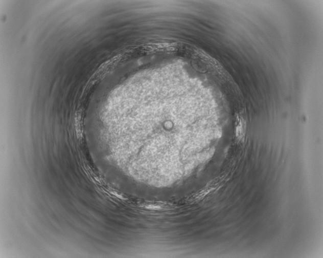 X0000085830819200704091655