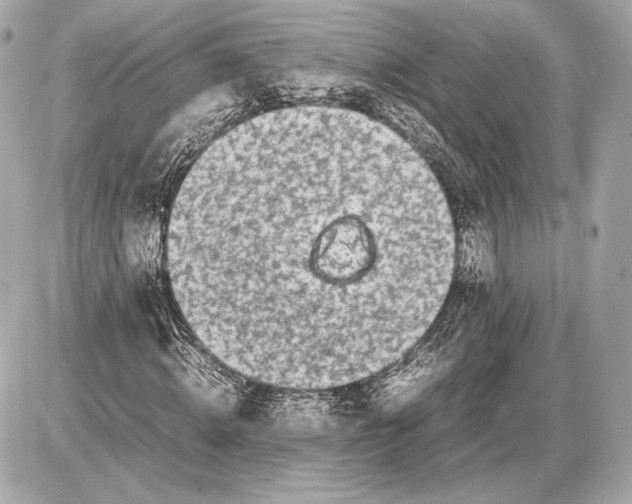 X0000085830820200704091655