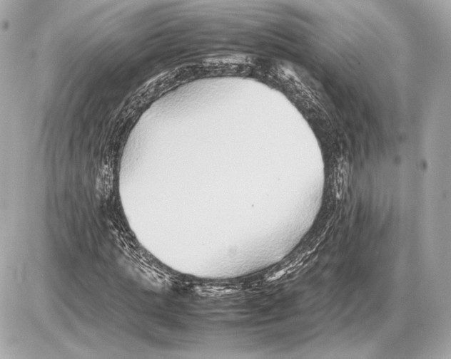 X0000085830821200704091655