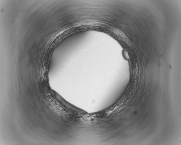 X0000085830822200704091655