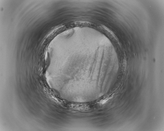 X0000085830823200704091655