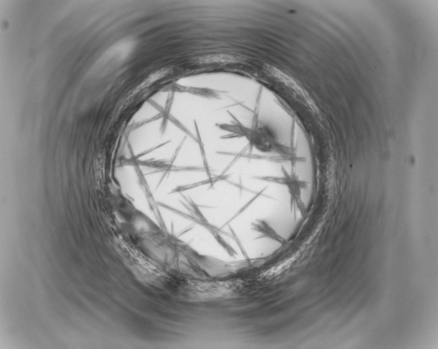 X0000085830825200704091655