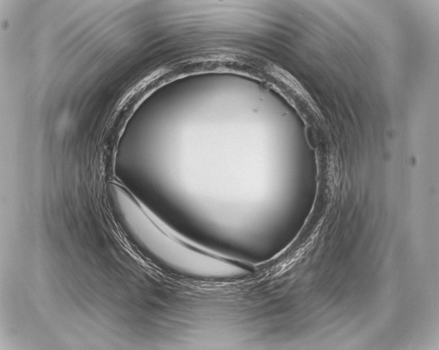 X0000085830826200704091655