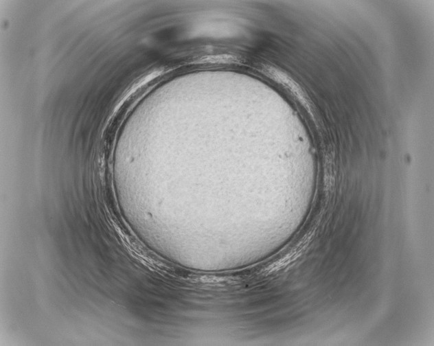 X0000085830827200704091655