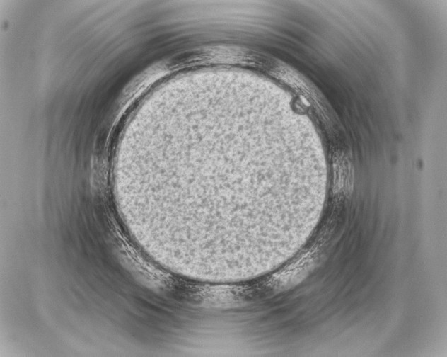 X0000085830828200704091655