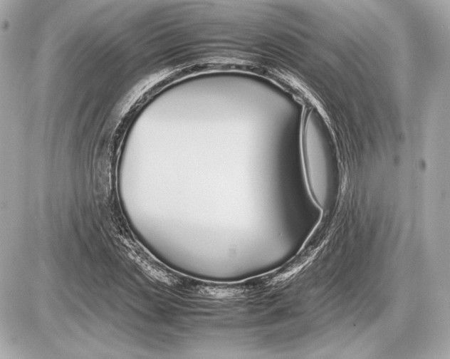 X0000085830829200704091655