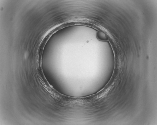 X0000085830830200704091655