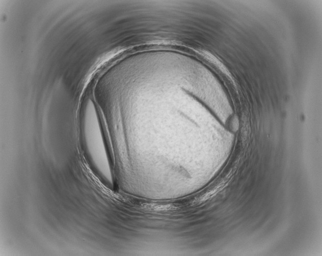 X0000085830831200704091655