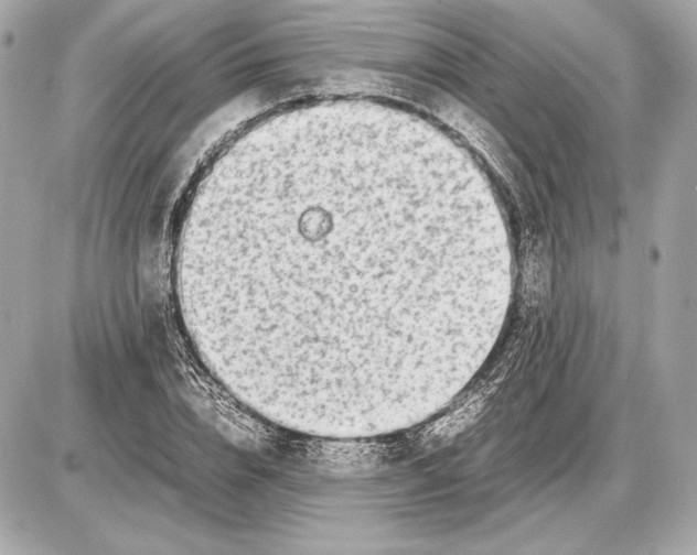 X0000085830832200704091656