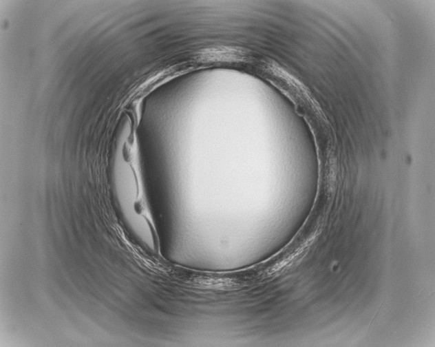 X0000085830833200704091656