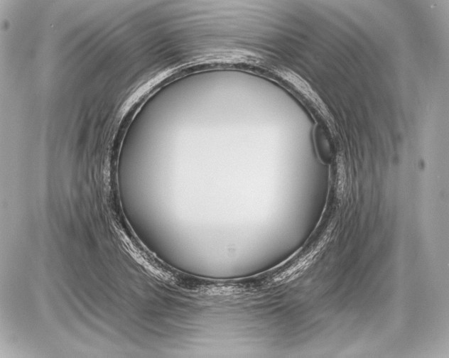 X0000085830834200704091656