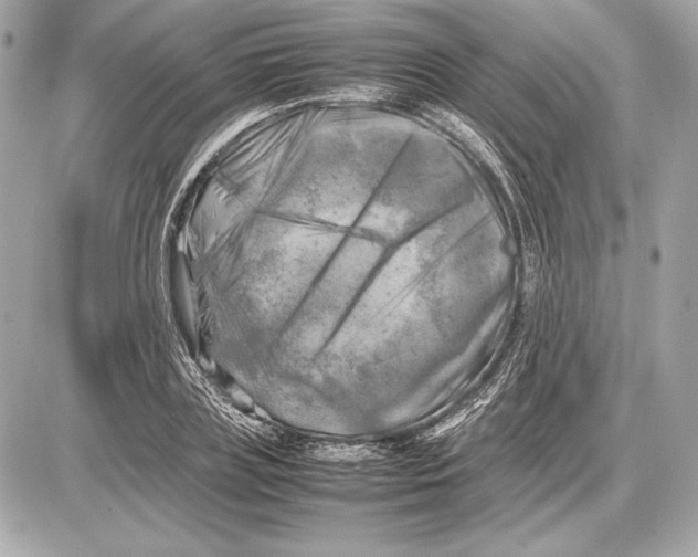 X0000085830835200704091656