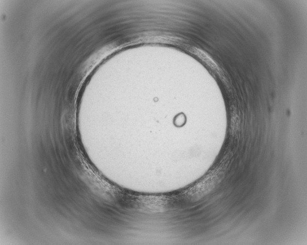 X0000085830836200704091656