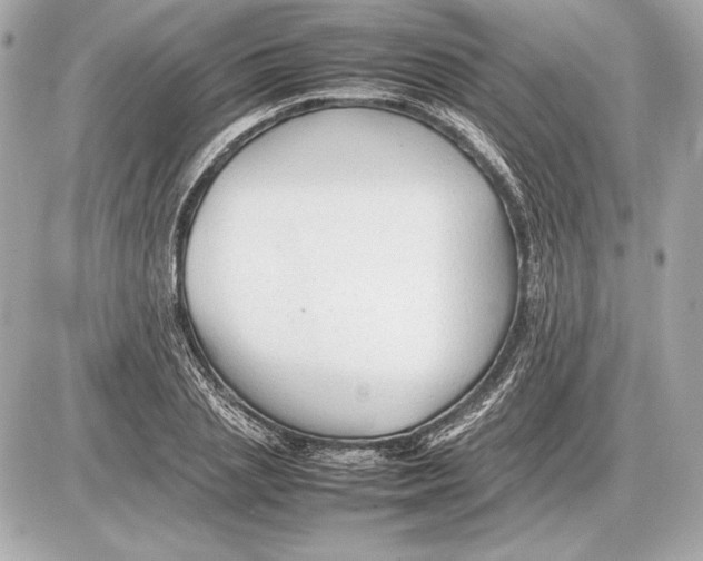 X0000085830837200704091656