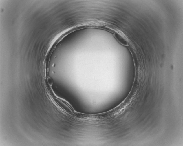 X0000085830838200704091656