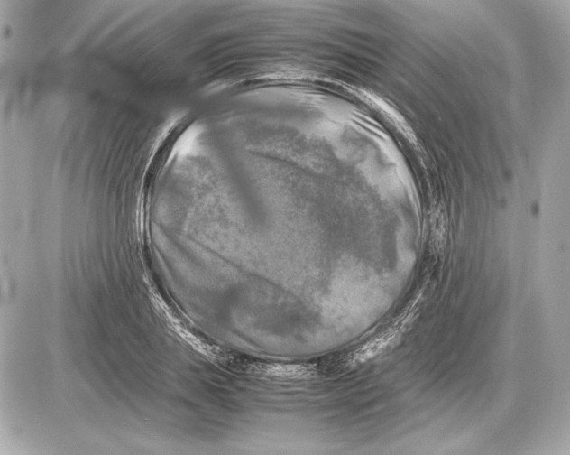 X0000085830839200704091656