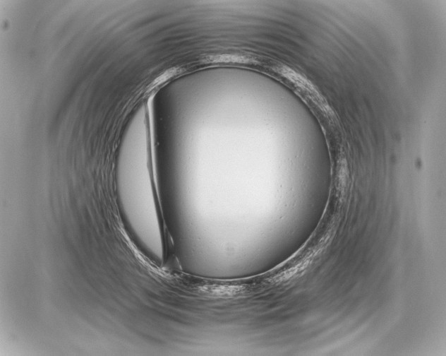 X0000085830841200704091656