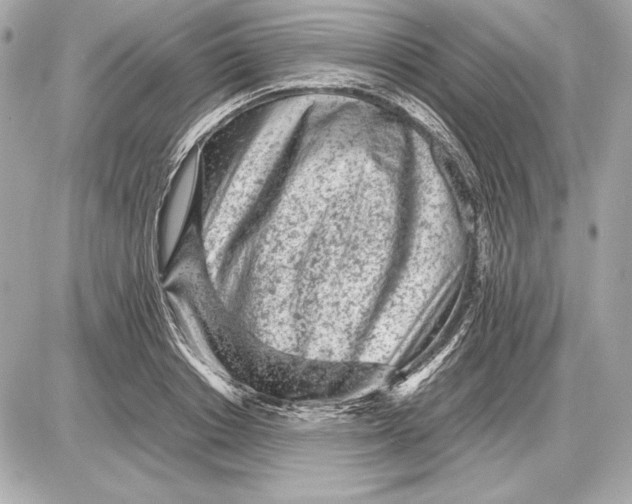 X0000085830842200704091656