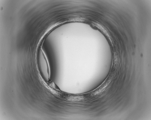 X0000085830843200704091656