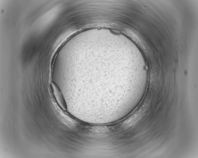 X0000085830844200704091656