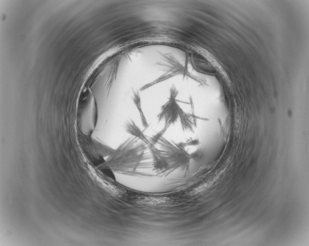 X0000085830845200704091656