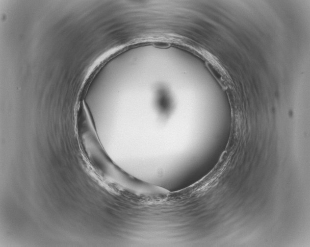 X0000085830846200704091656