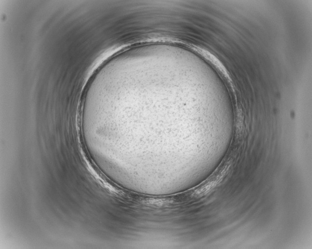 X0000085830847200704091656