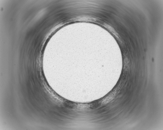 X0000085830848200704091656