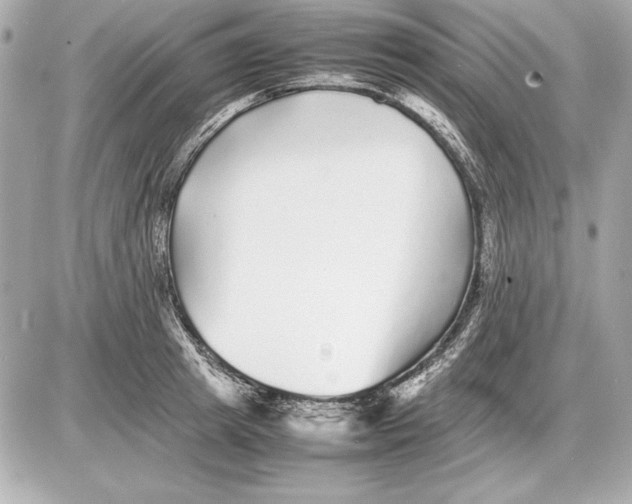 X0000085830849200704091656