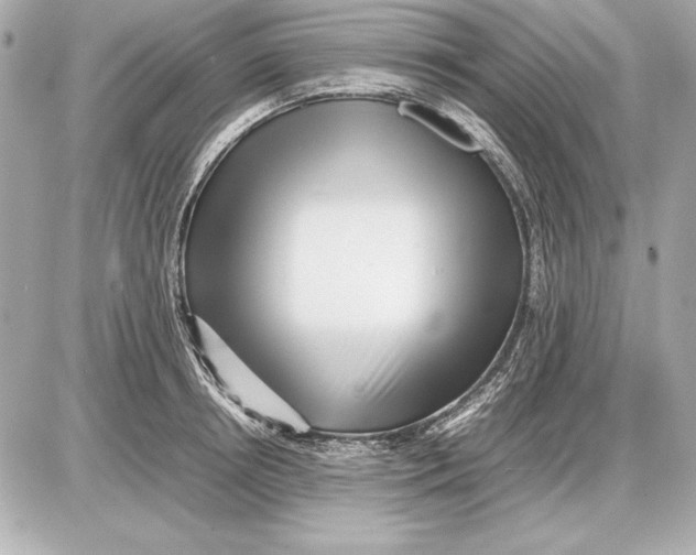 X0000085830850200704091656