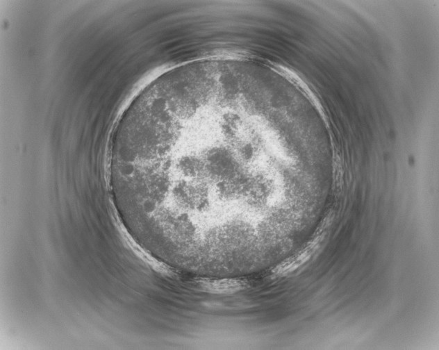 X0000085830851200704091656