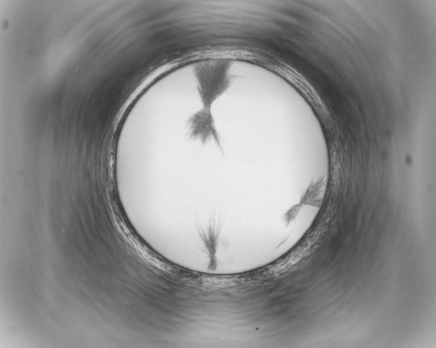 X0000085830852200704091656