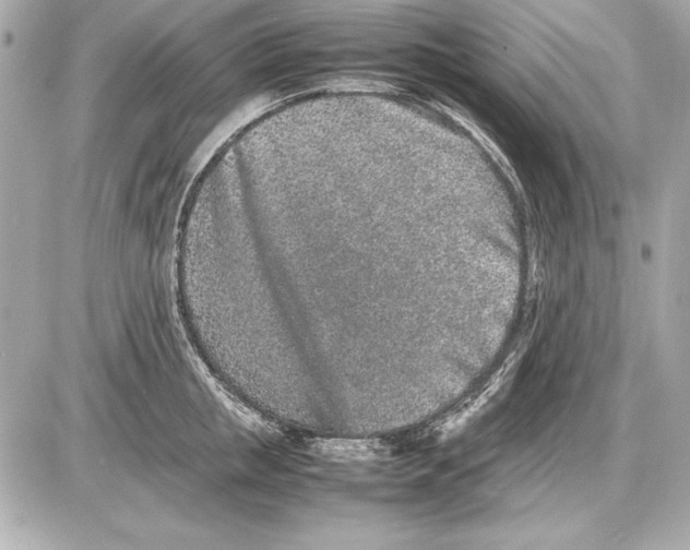 X0000085830853200704091656