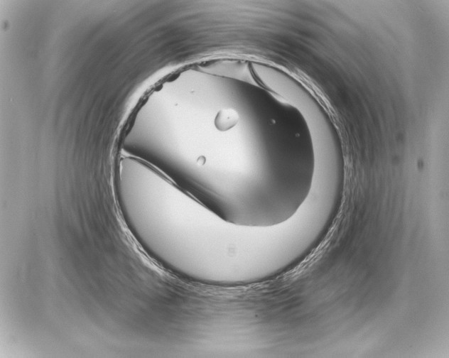 X0000085830854200704091656