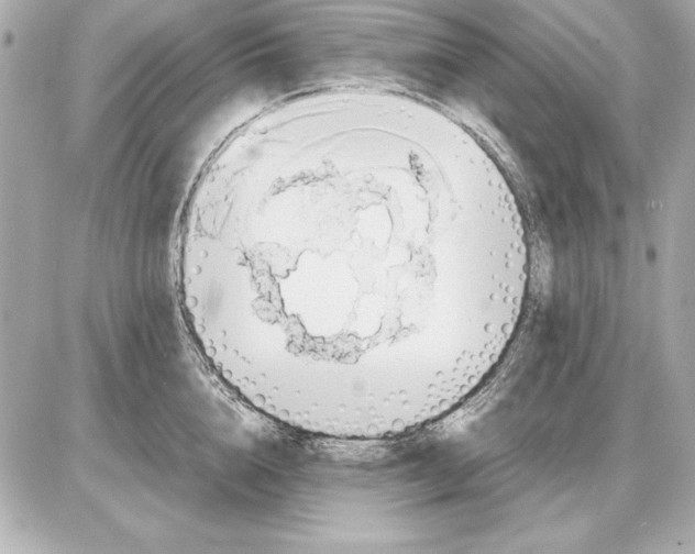 X0000085830856200704091656