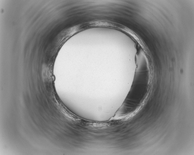 X0000085830857200704091656