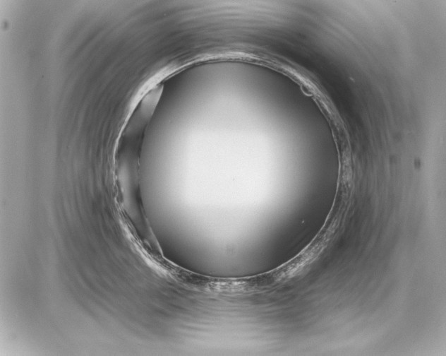 X0000085830858200704091656