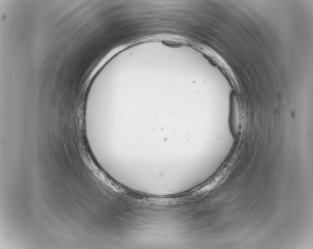 X0000085830860200704091656