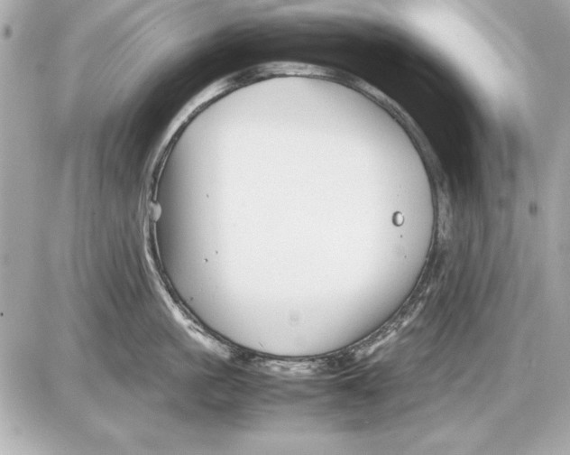 X0000085830861200704091656