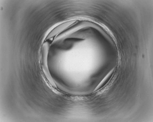 X0000085830862200704091656