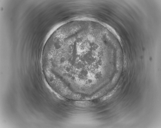 X0000085830863200704091656