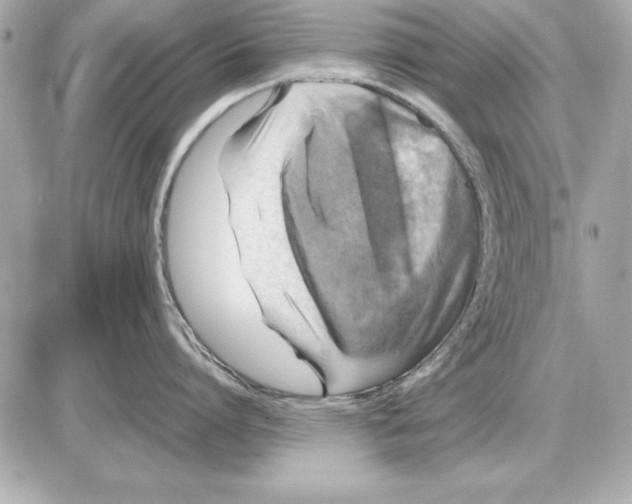 X0000085830864200704091656