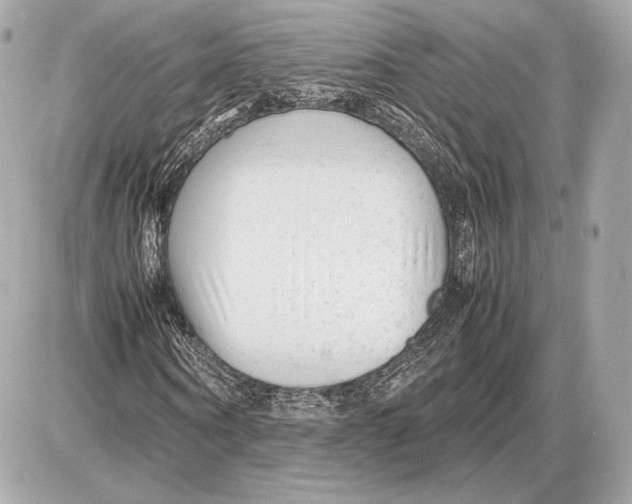 X0000085830866200704091655